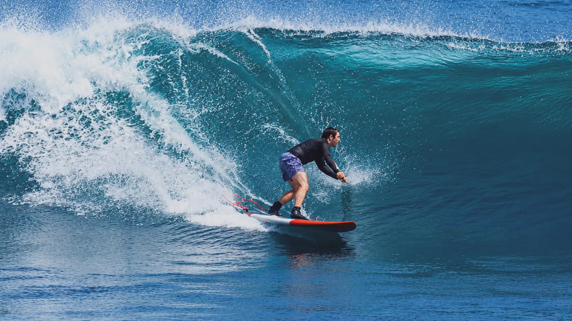 SUP board rentals