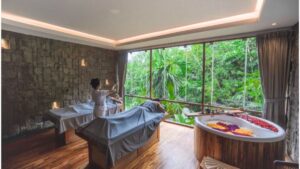 spa plus bali